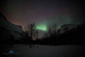 northern light-small