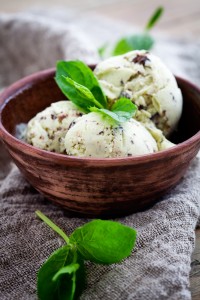 mint-chocolate-chip-ice-cream---edit